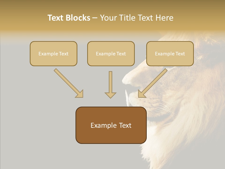 Brown Head Catch Pa PowerPoint Template