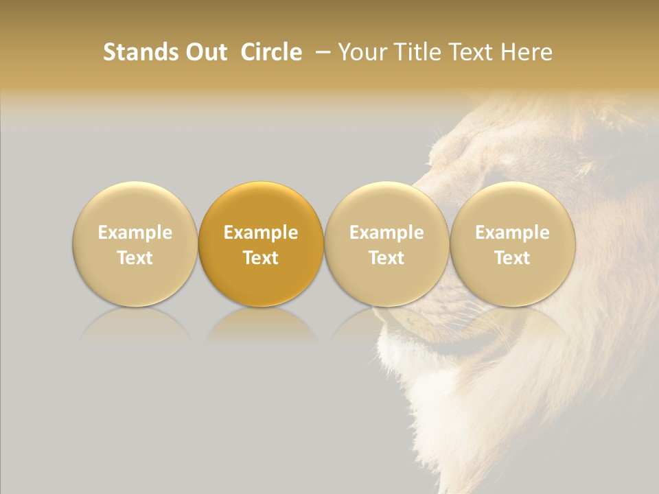 Brown Head Catch Pa PowerPoint Template