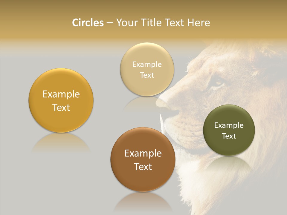 Brown Head Catch Pa PowerPoint Template