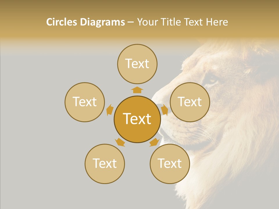 Brown Head Catch Pa PowerPoint Template