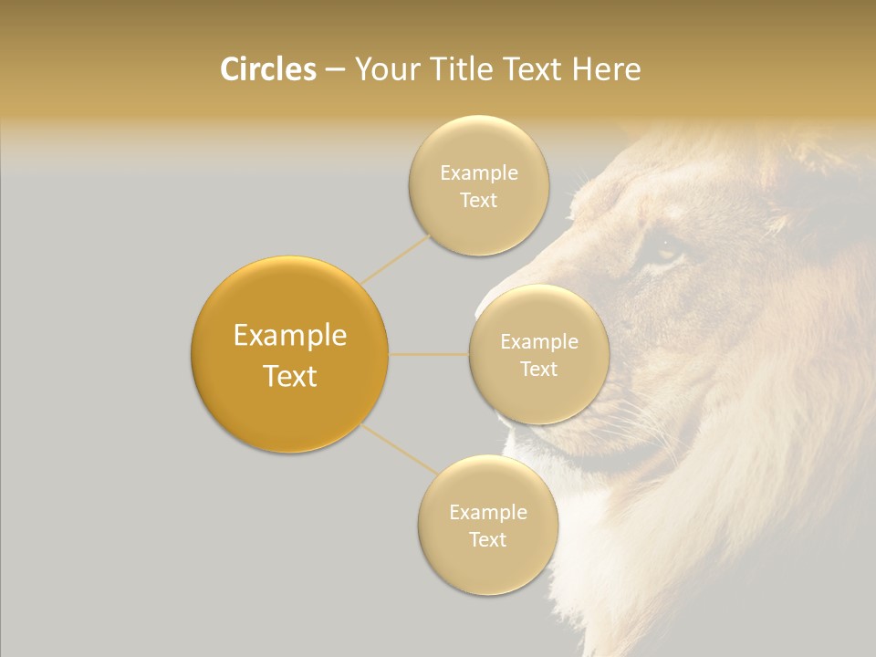 Brown Head Catch Pa PowerPoint Template