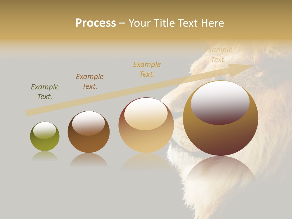 Brown Head Catch Pa PowerPoint Template