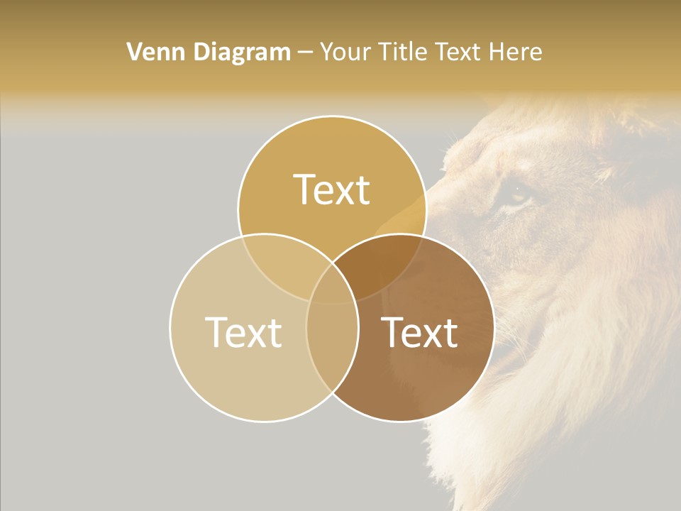 Brown Head Catch Pa PowerPoint Template