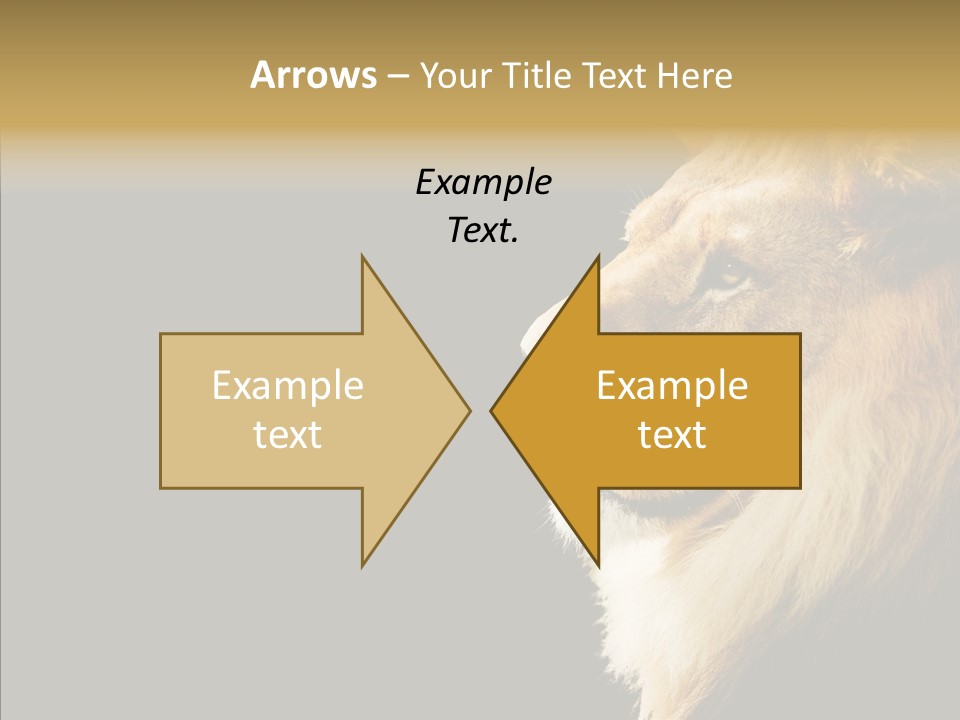 Brown Head Catch Pa PowerPoint Template