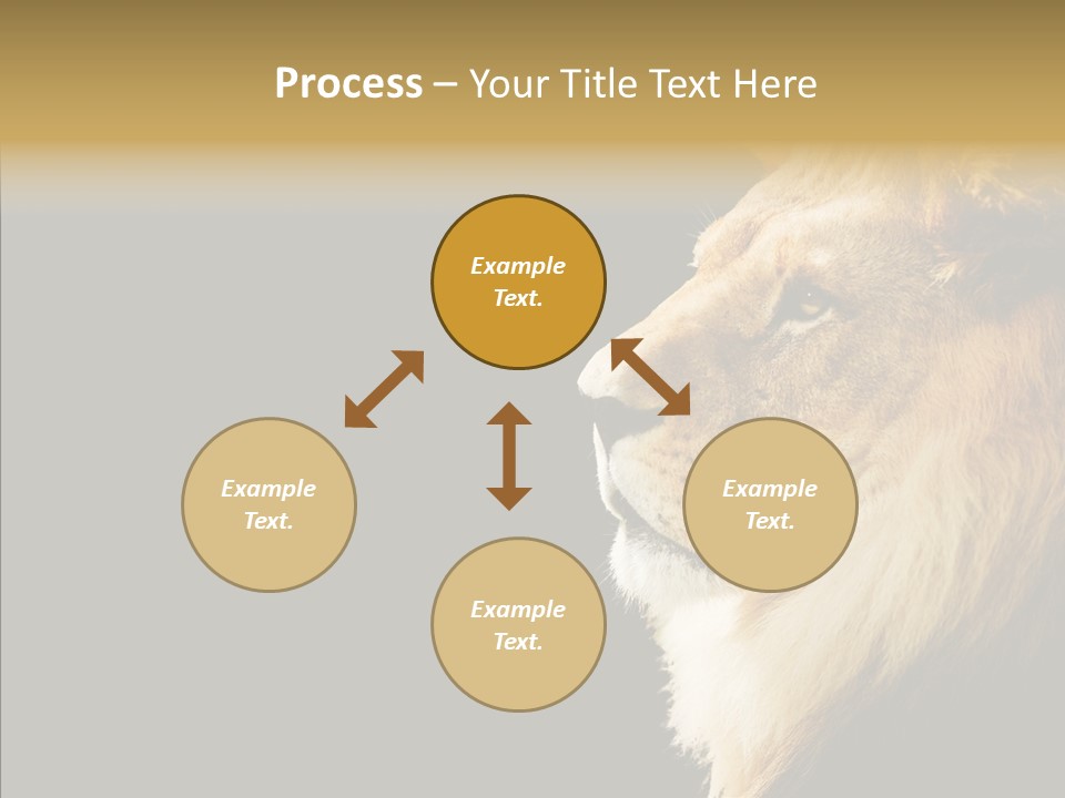 Brown Head Catch Pa PowerPoint Template