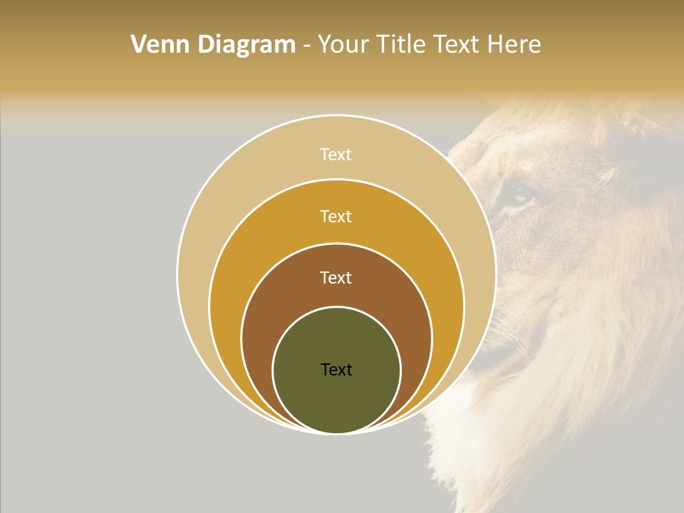 Brown Head Catch Pa PowerPoint Template