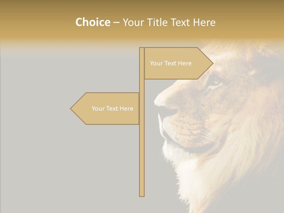 Brown Head Catch Pa PowerPoint Template