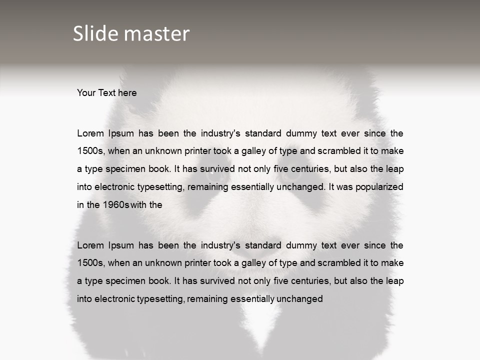 Bear Young Mammal PowerPoint Template