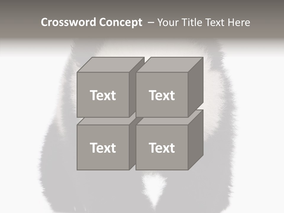 Bear Young Mammal PowerPoint Template