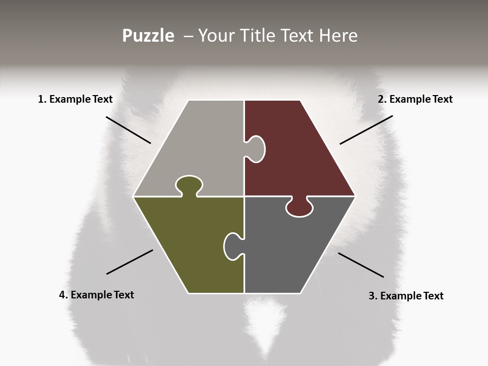 Bear Young Mammal PowerPoint Template