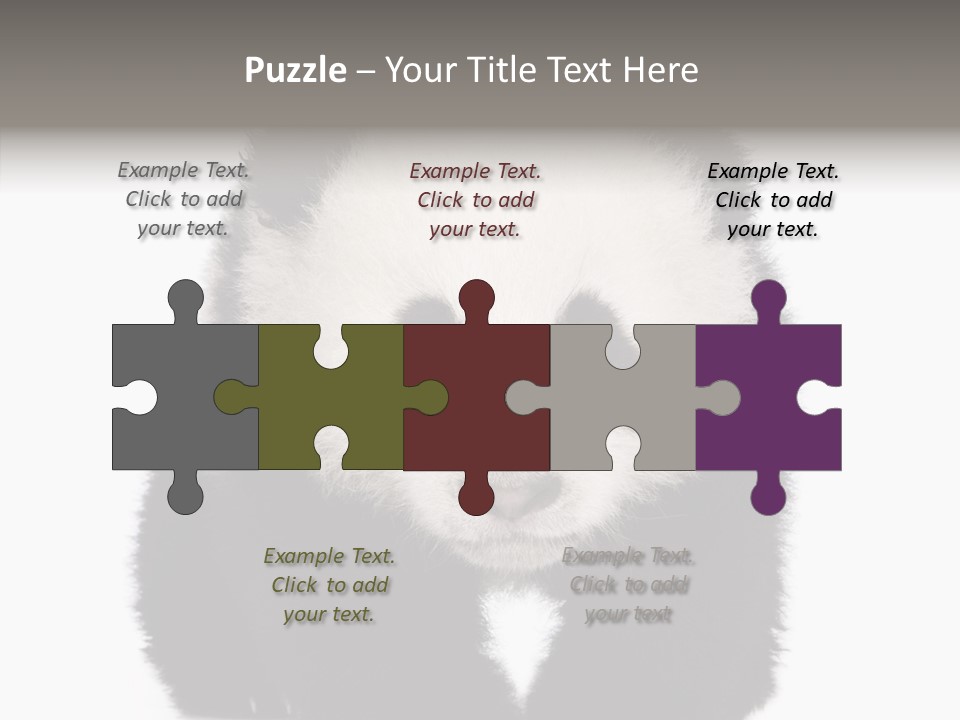 Bear Young Mammal PowerPoint Template