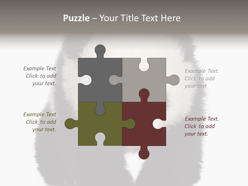 Bear Young Mammal PowerPoint Template