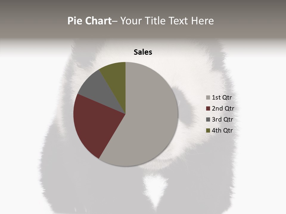 Bear Young Mammal PowerPoint Template