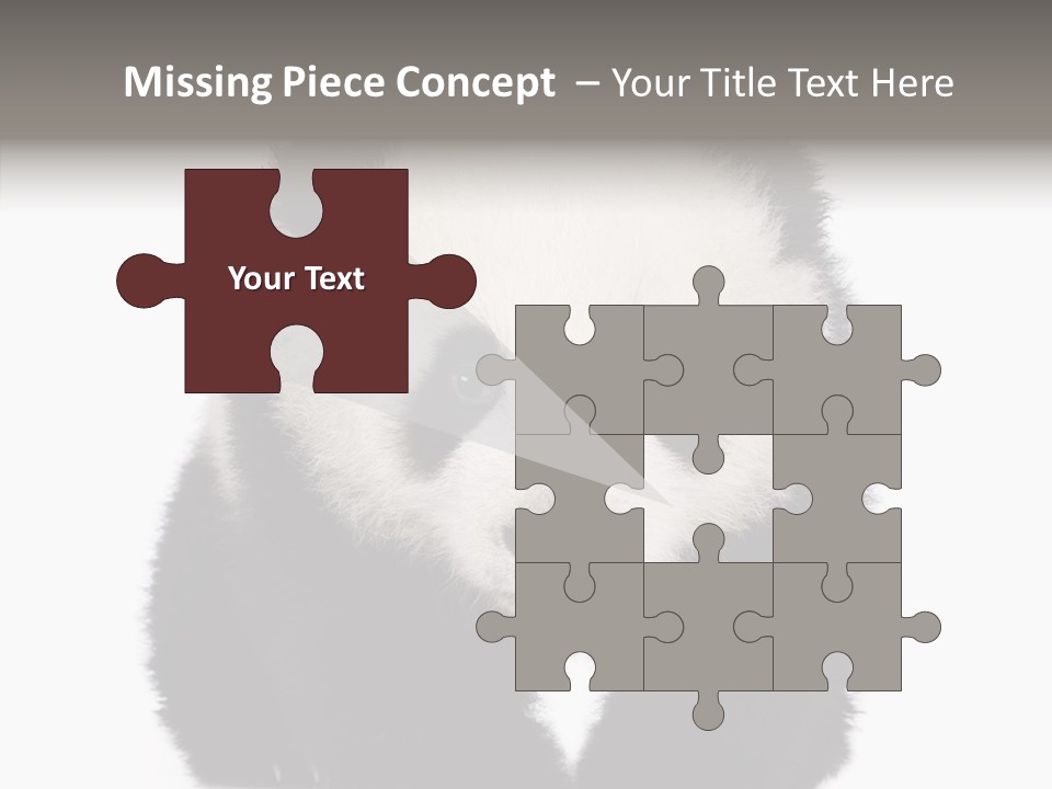 Bear Young Mammal PowerPoint Template