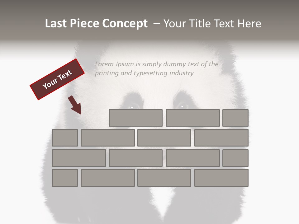 Bear Young Mammal PowerPoint Template