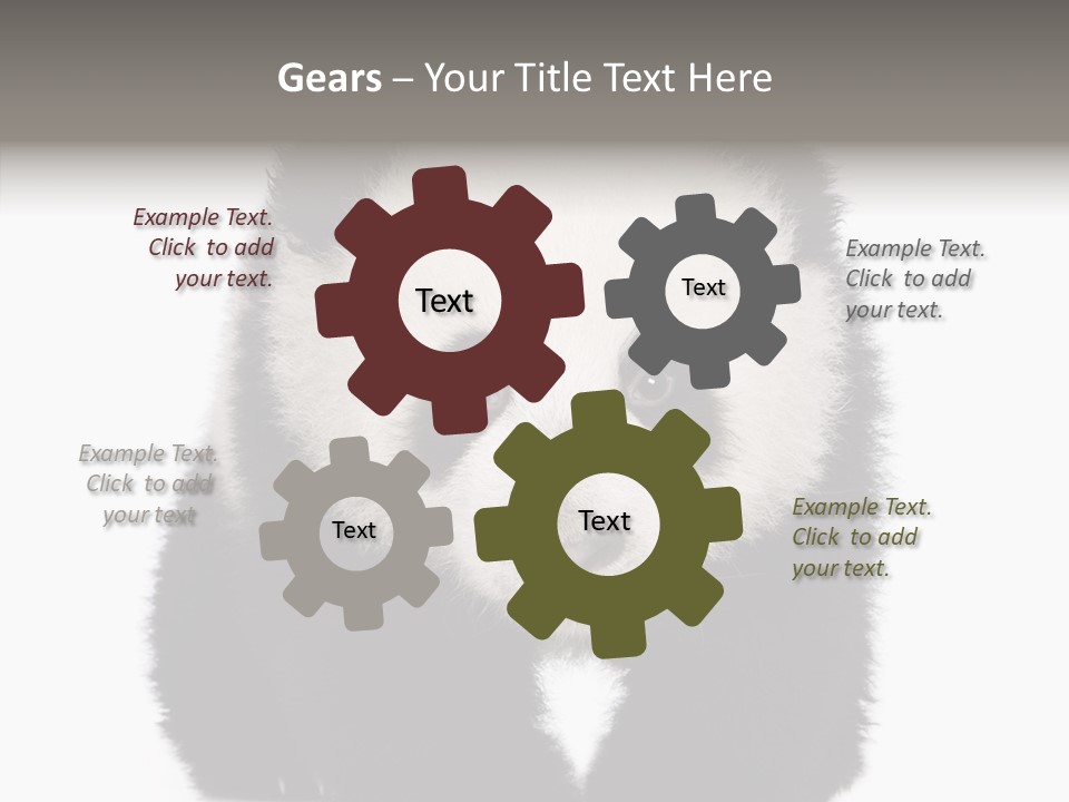Bear Young Mammal PowerPoint Template