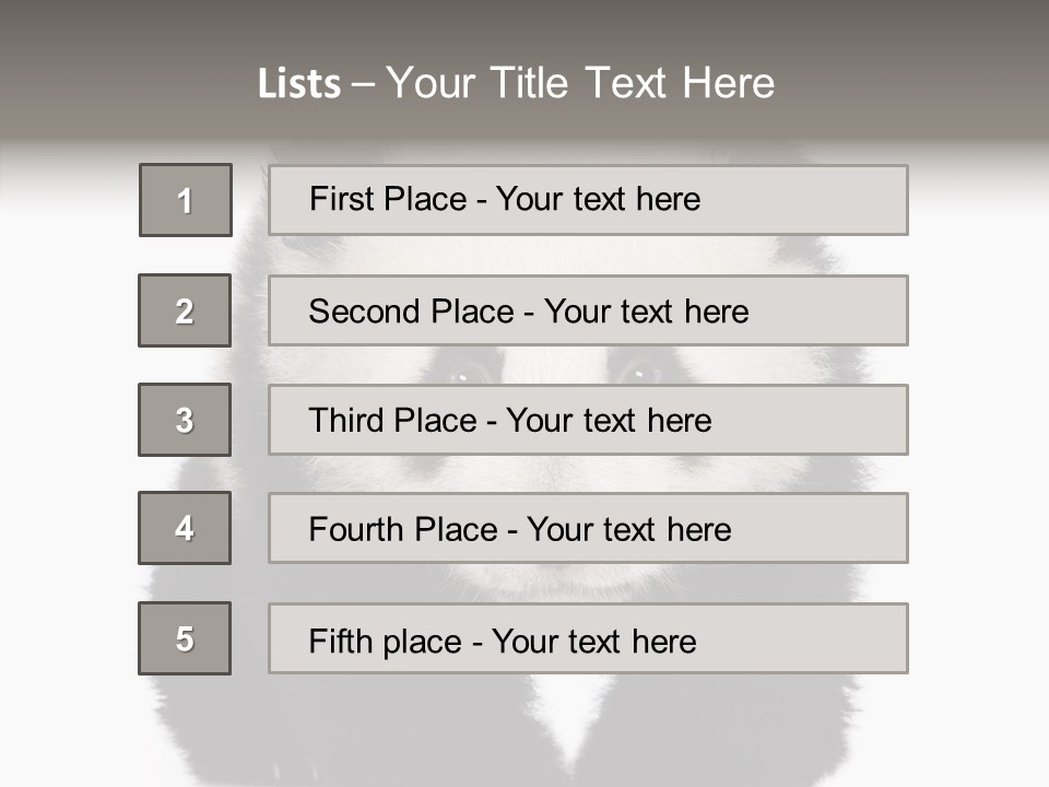 Bear Young Mammal PowerPoint Template