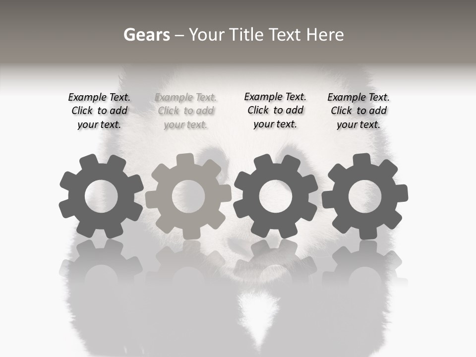 Bear Young Mammal PowerPoint Template