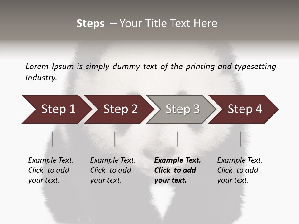 Bear Young Mammal PowerPoint Template