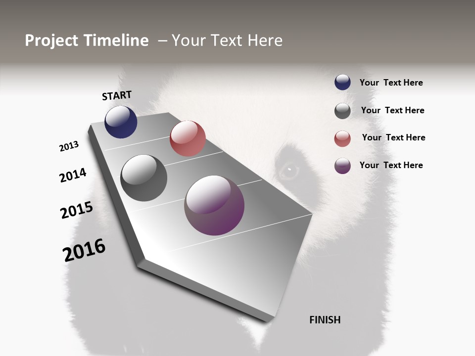 Bear Young Mammal PowerPoint Template