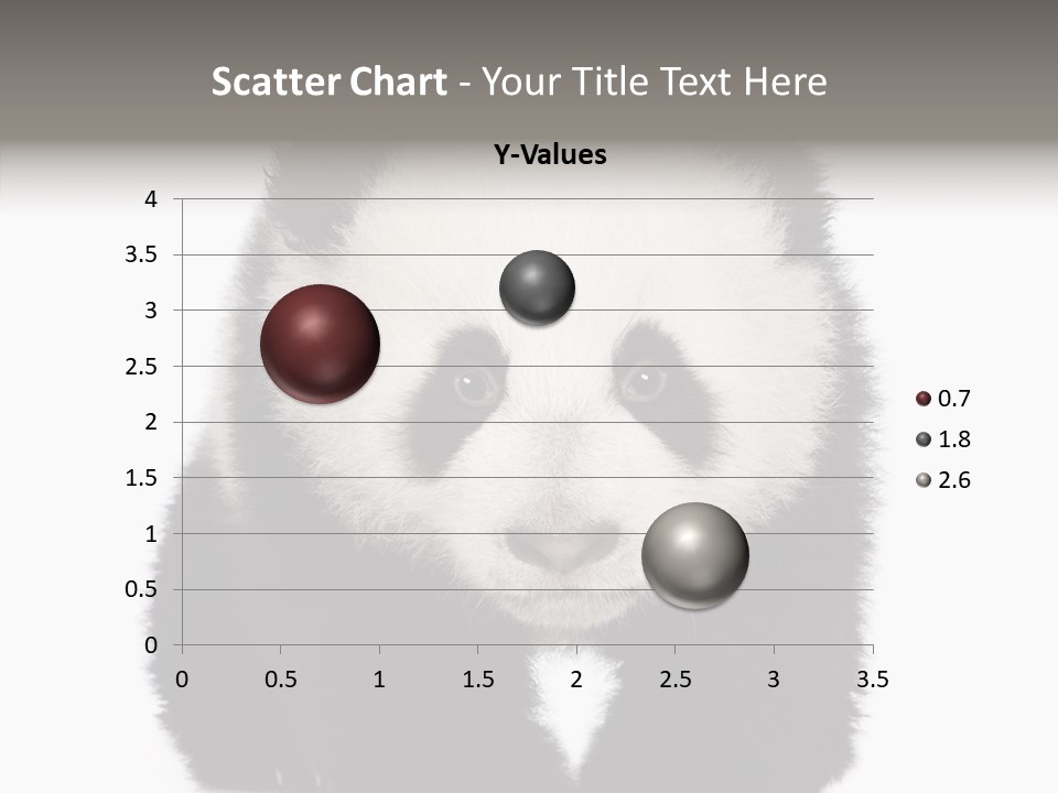 Bear Young Mammal PowerPoint Template