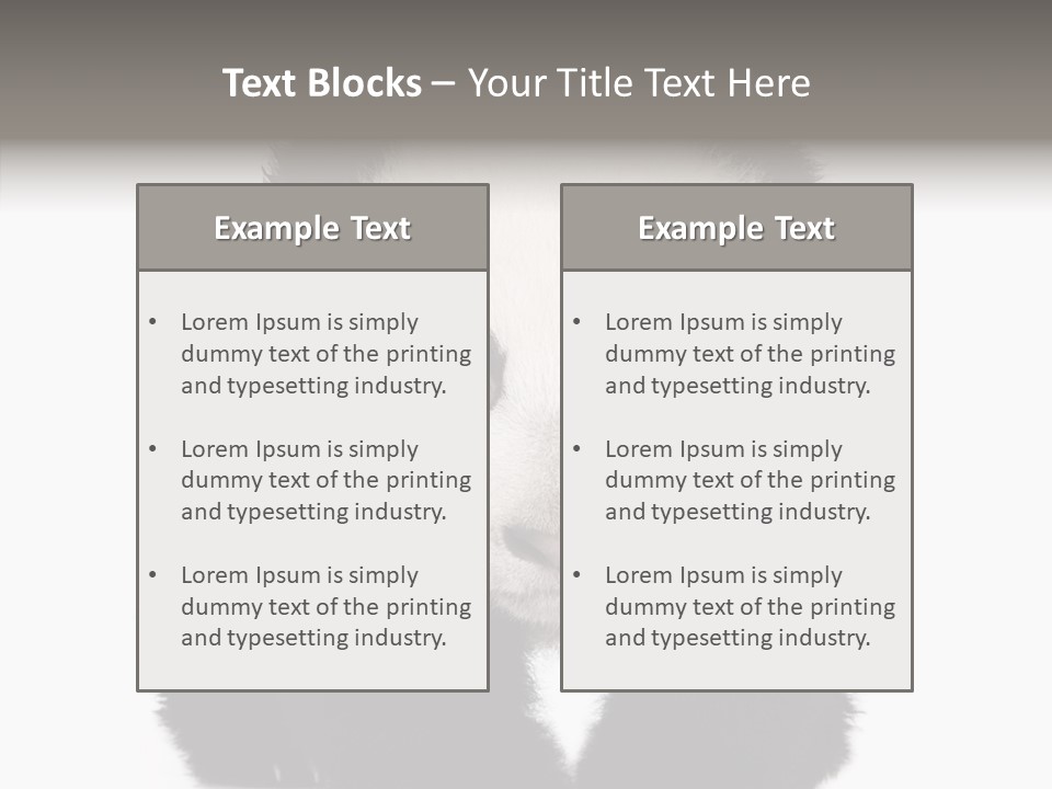 Bear Young Mammal PowerPoint Template