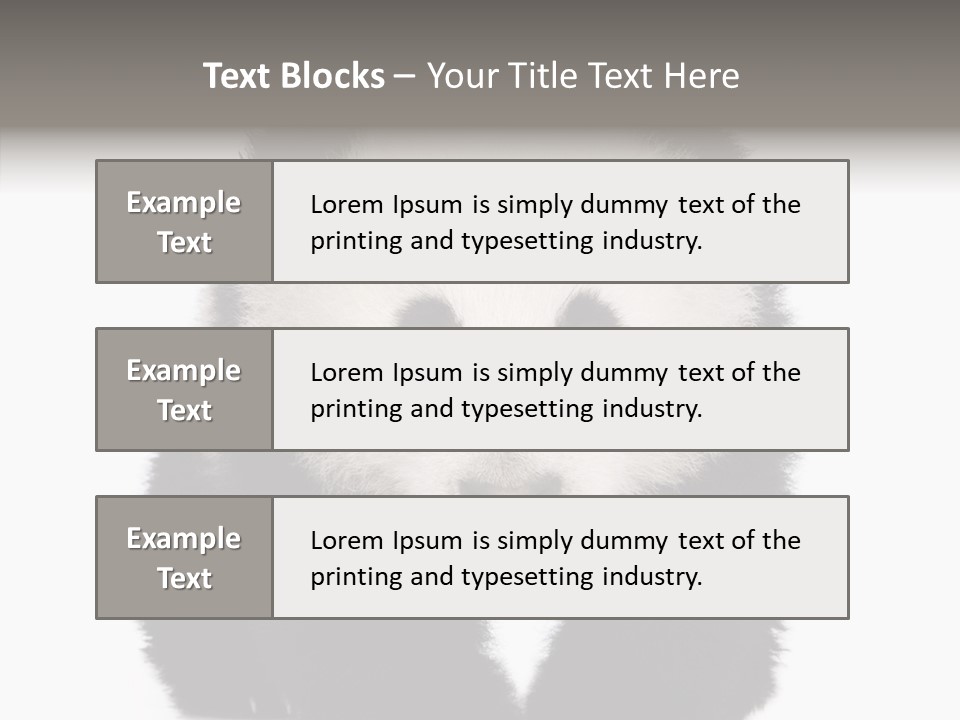 Bear Young Mammal PowerPoint Template