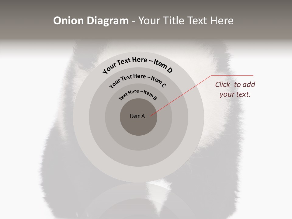 Bear Young Mammal PowerPoint Template