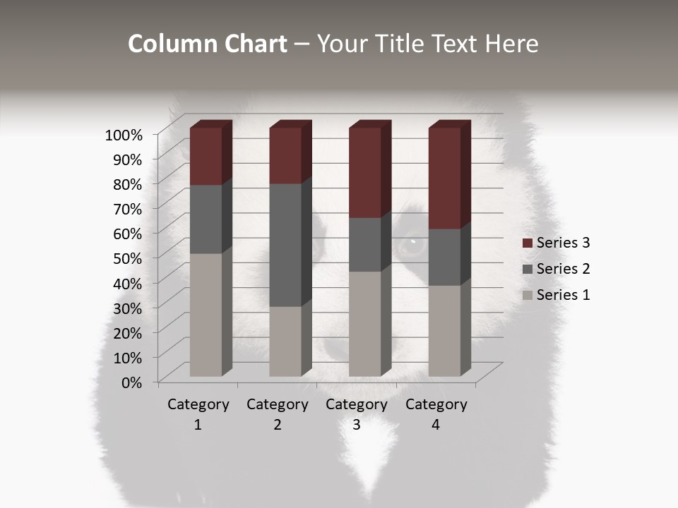 Bear Young Mammal PowerPoint Template