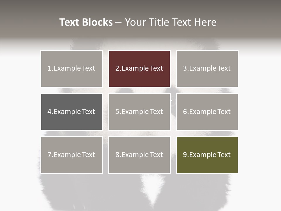 Bear Young Mammal PowerPoint Template