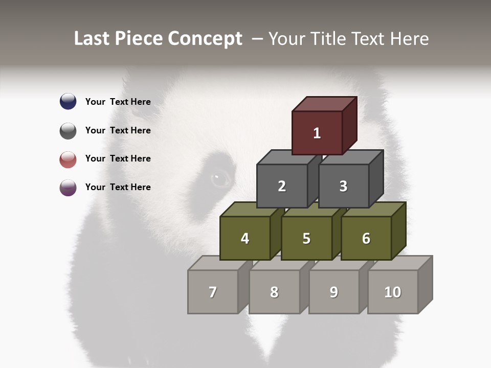 Bear Young Mammal PowerPoint Template