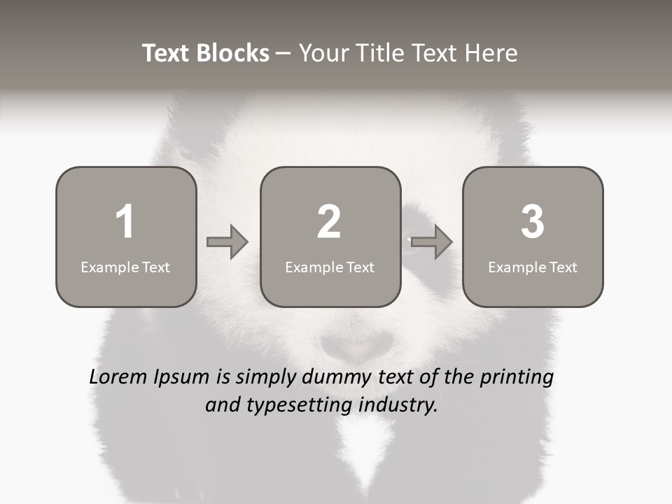 Bear Young Mammal PowerPoint Template