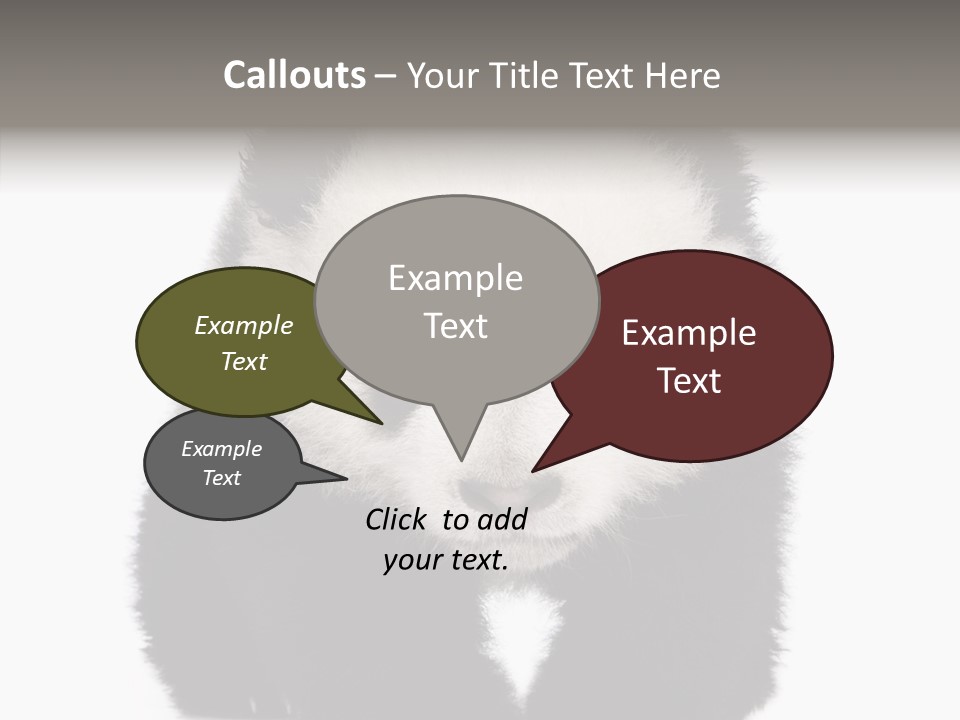 Bear Young Mammal PowerPoint Template