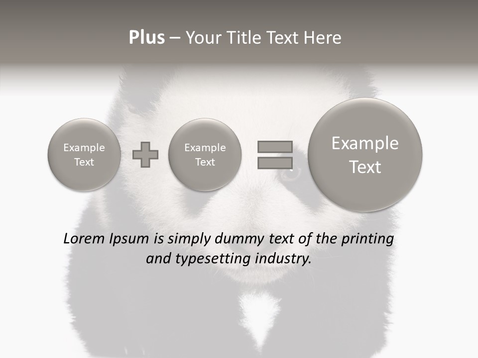 Bear Young Mammal PowerPoint Template