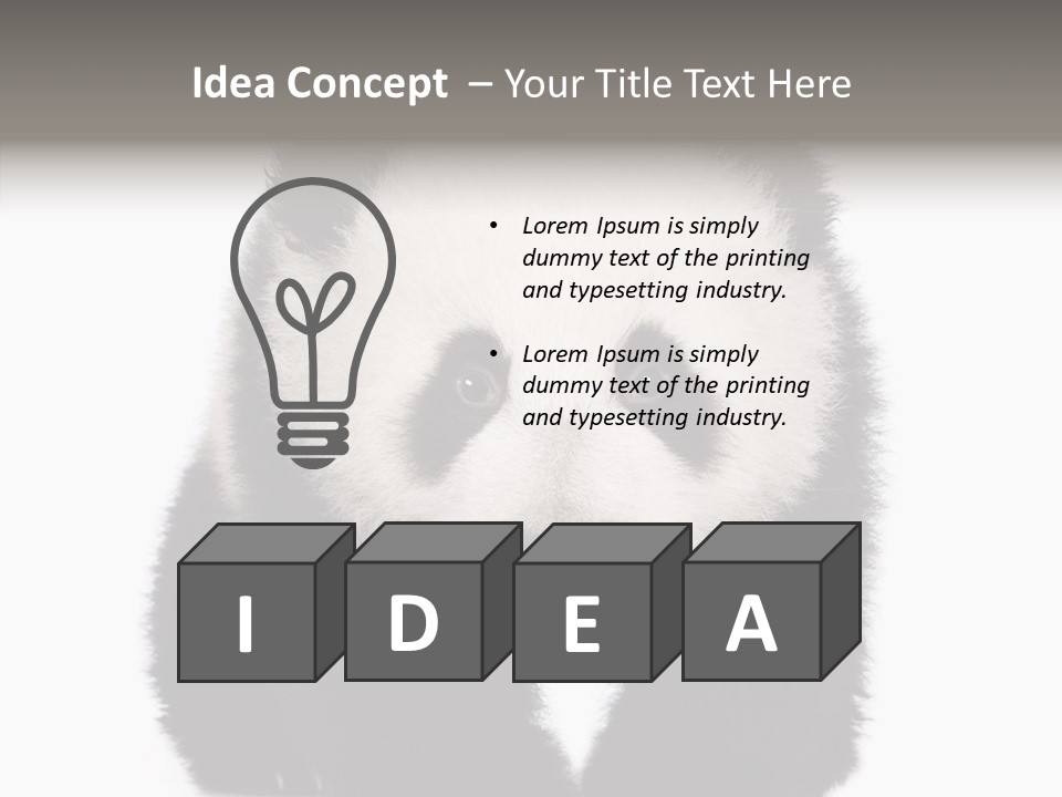 Bear Young Mammal PowerPoint Template