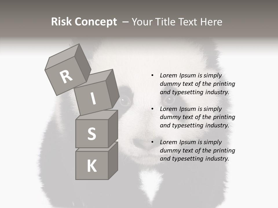 Bear Young Mammal PowerPoint Template