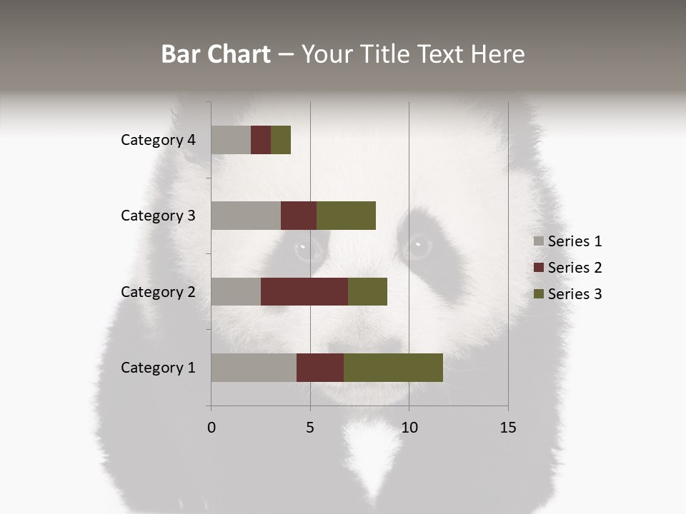Bear Young Mammal PowerPoint Template