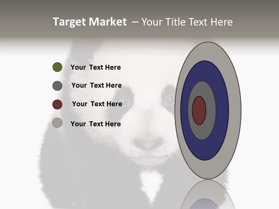 Bear Young Mammal PowerPoint Template