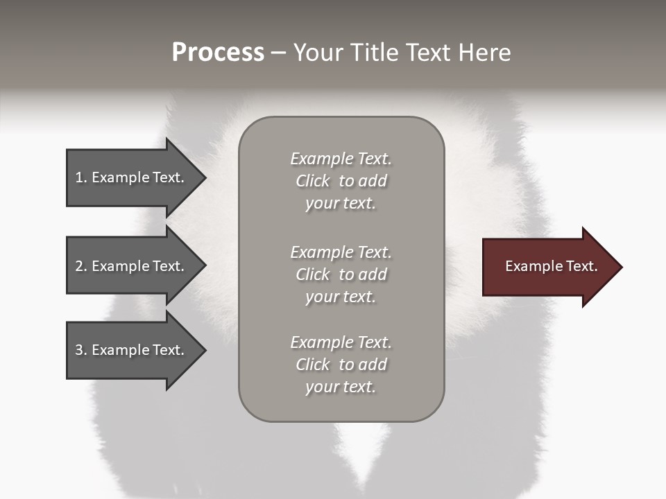 Bear Young Mammal PowerPoint Template