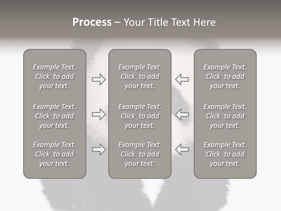 Bear Young Mammal PowerPoint Template
