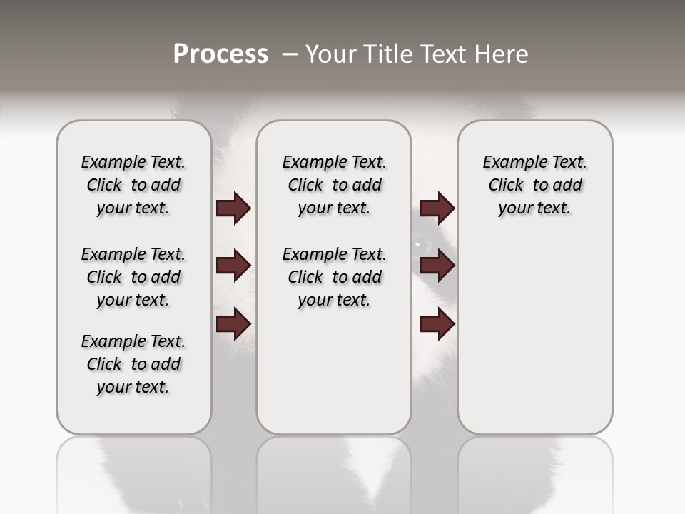 Bear Young Mammal PowerPoint Template