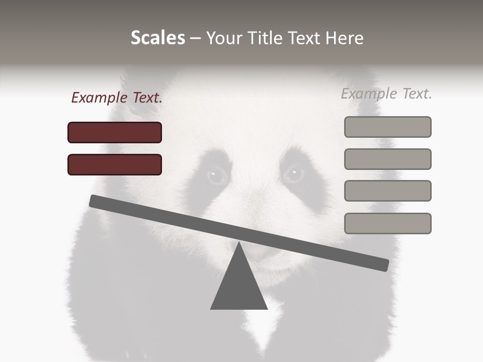 Bear Young Mammal PowerPoint Template