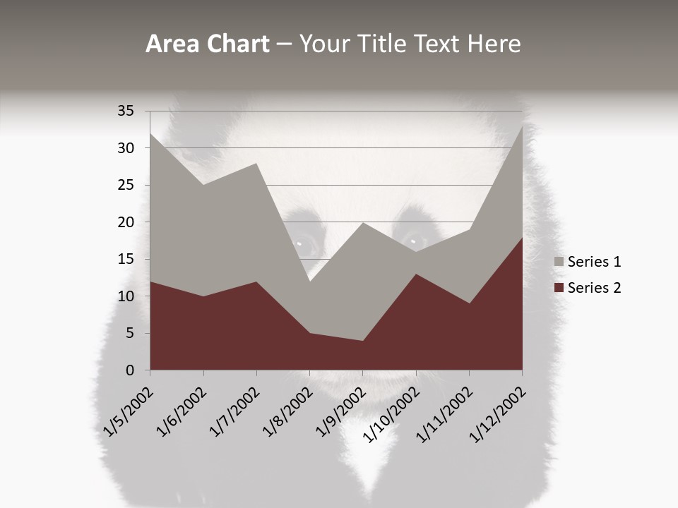 Bear Young Mammal PowerPoint Template