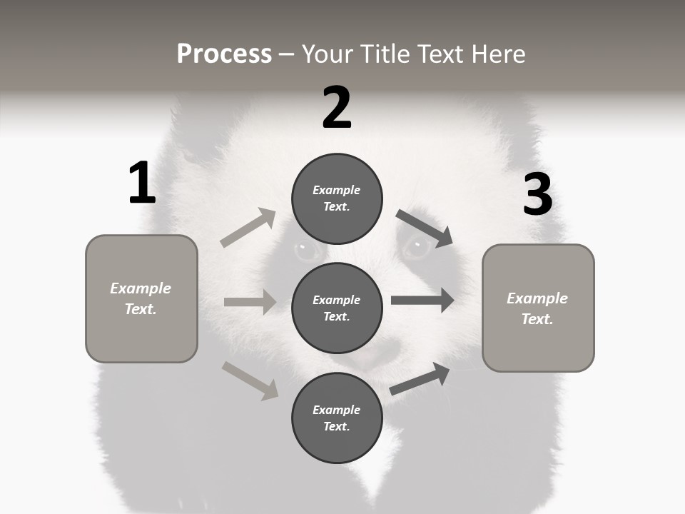 Bear Young Mammal PowerPoint Template