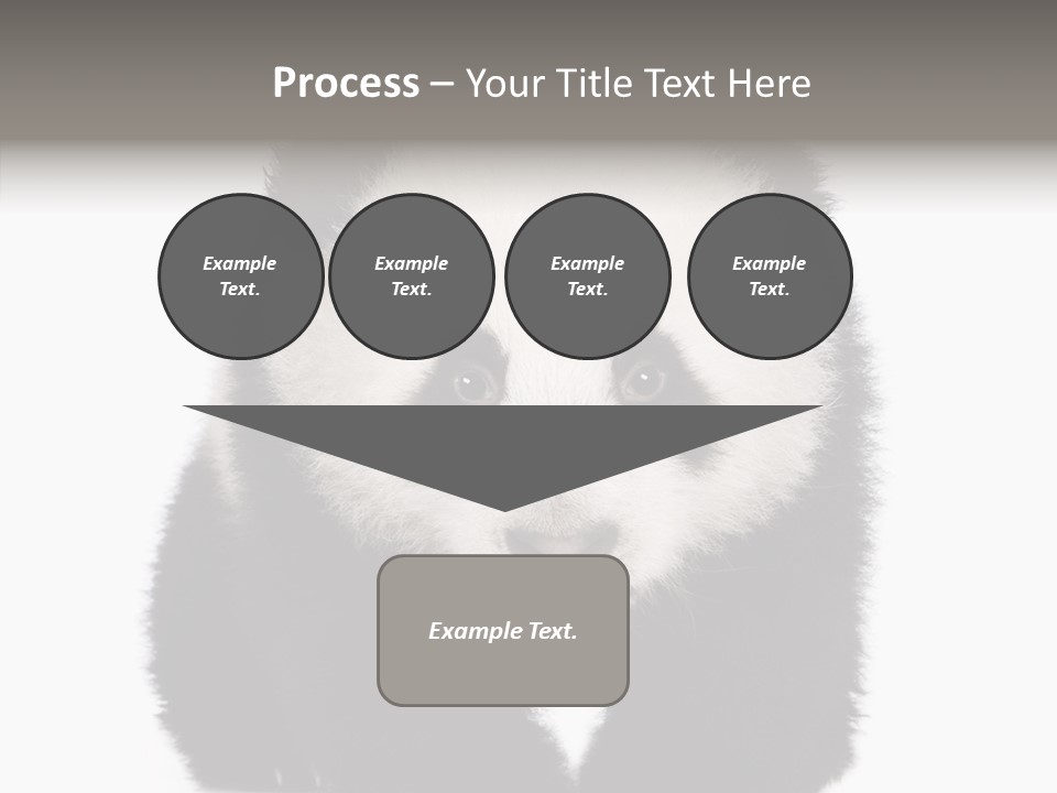 Bear Young Mammal PowerPoint Template