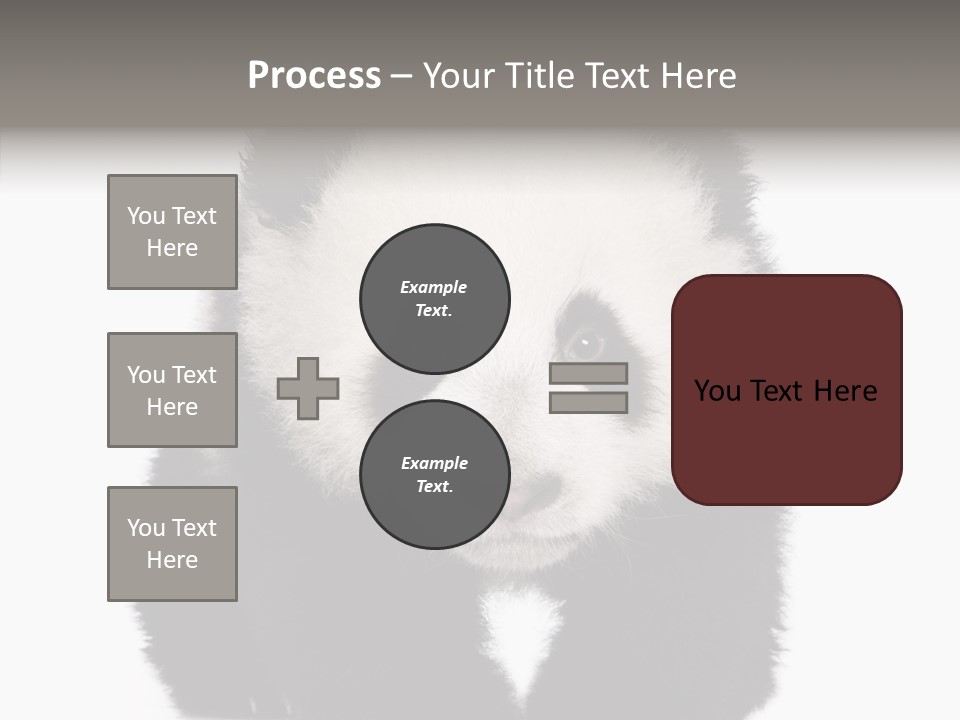 Bear Young Mammal PowerPoint Template