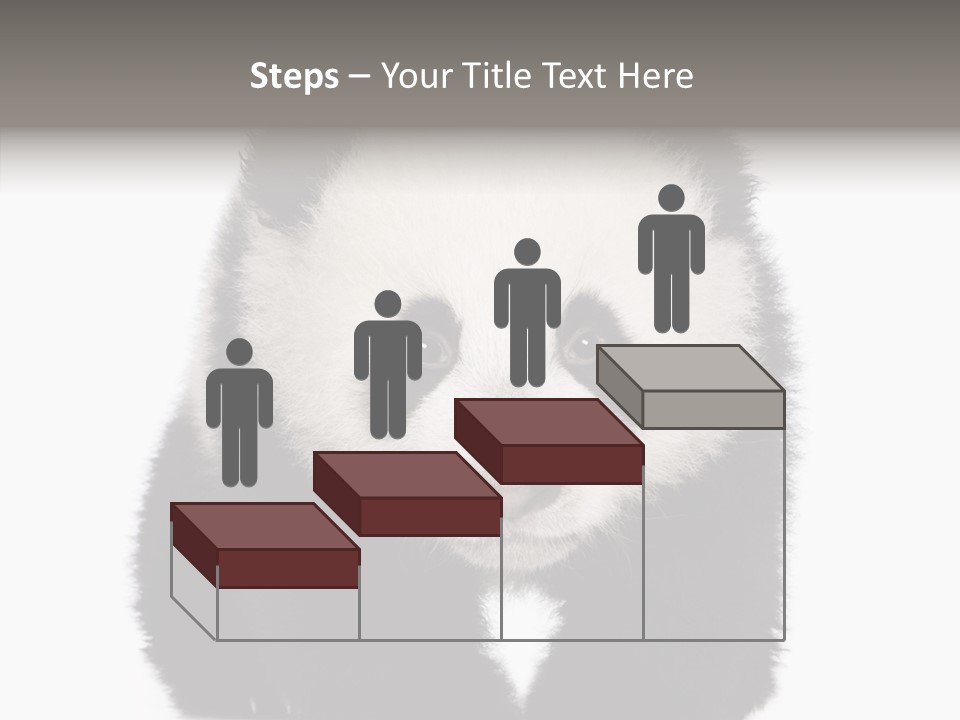 Bear Young Mammal PowerPoint Template