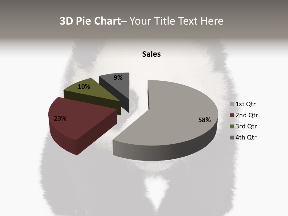 Bear Young Mammal PowerPoint Template