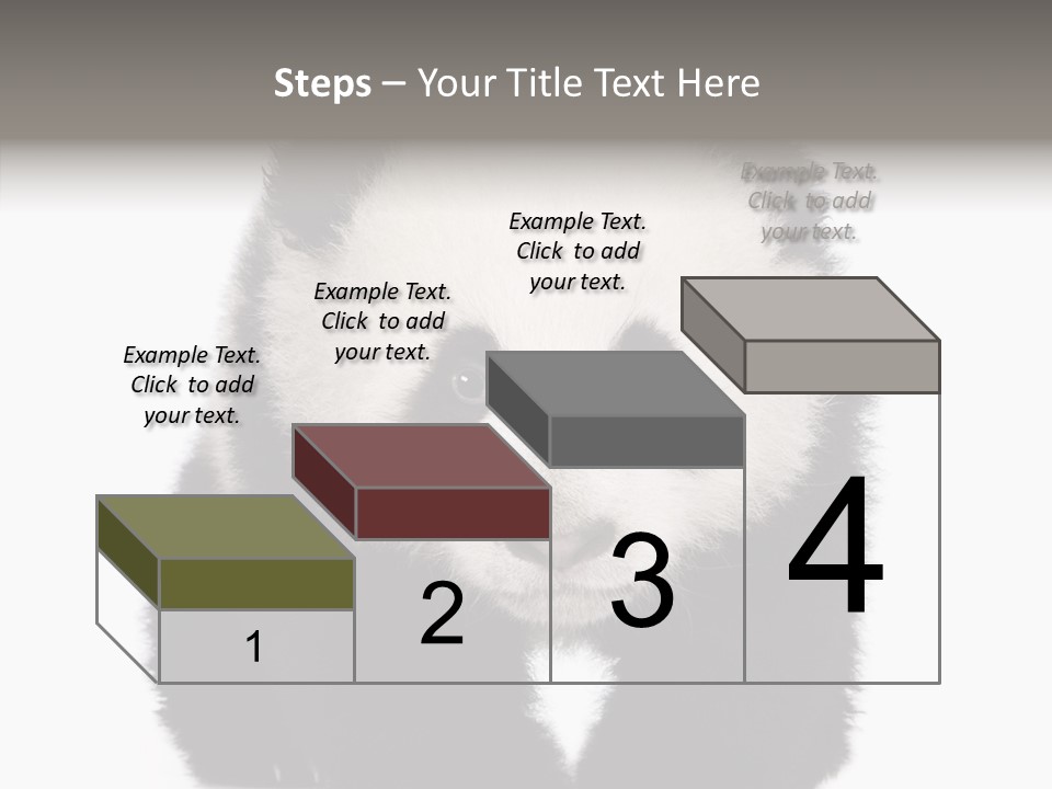 Bear Young Mammal PowerPoint Template