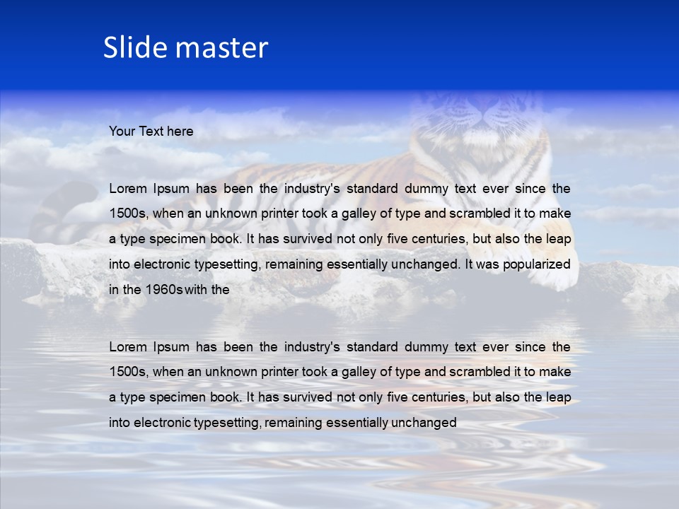 Black Cats Tiger PowerPoint Template